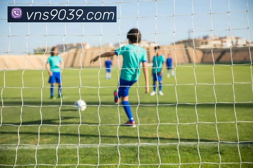 威尼斯人娱乐官网平台生态图